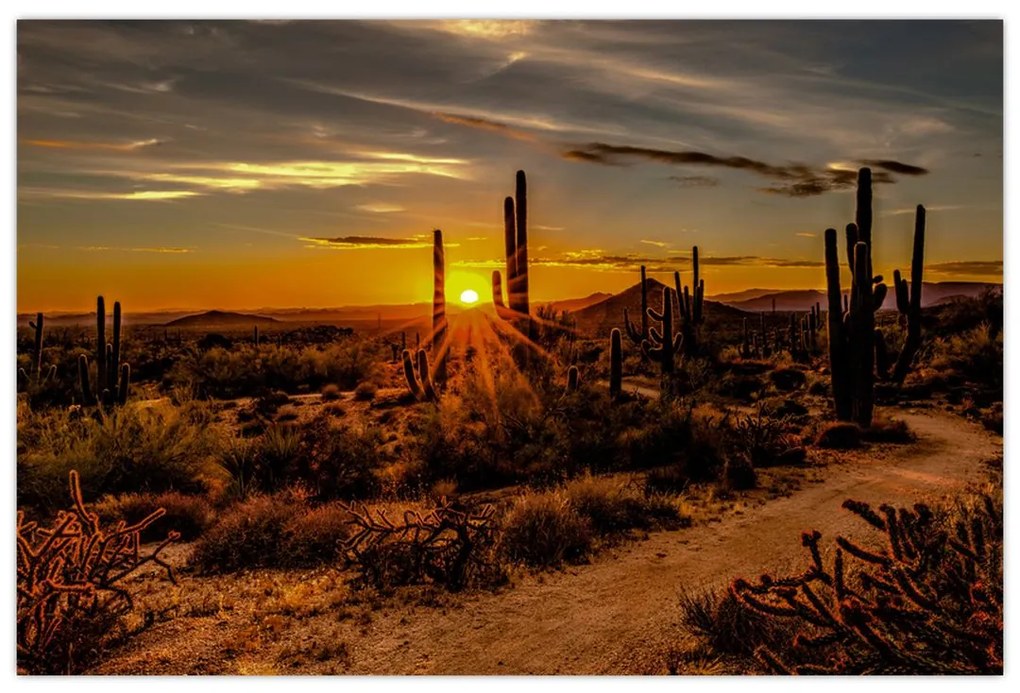 Tablou - Sfărșit de zi în deșertul Arizona (90x60 cm)