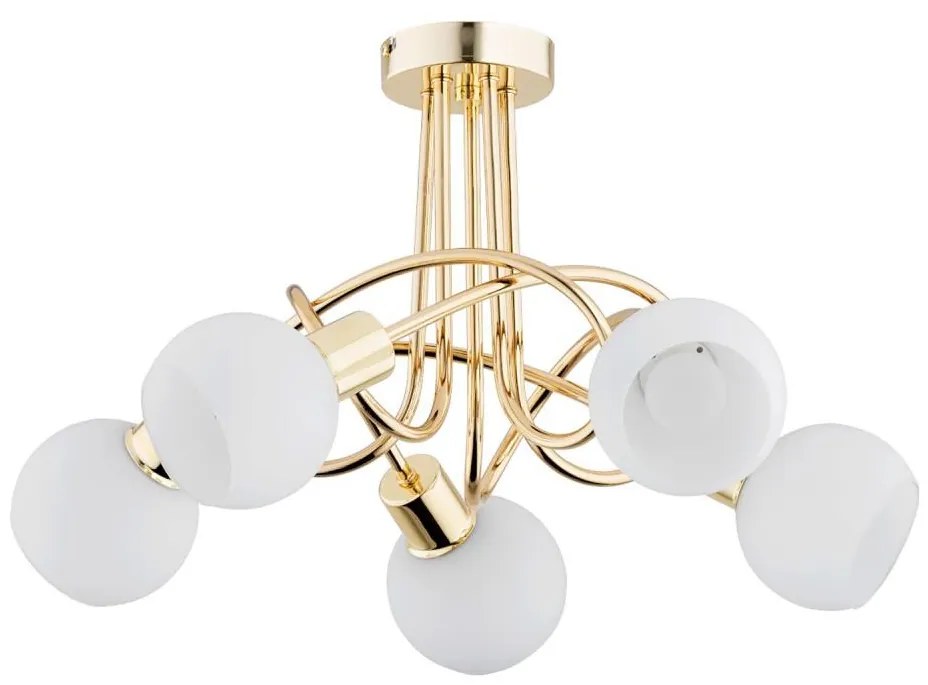 Lustră aplicată ERYKA 5xE14/10W/230V auriu