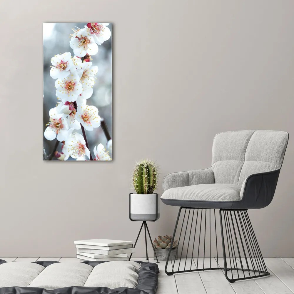 Imprimare tablou canvas Flori de cireș