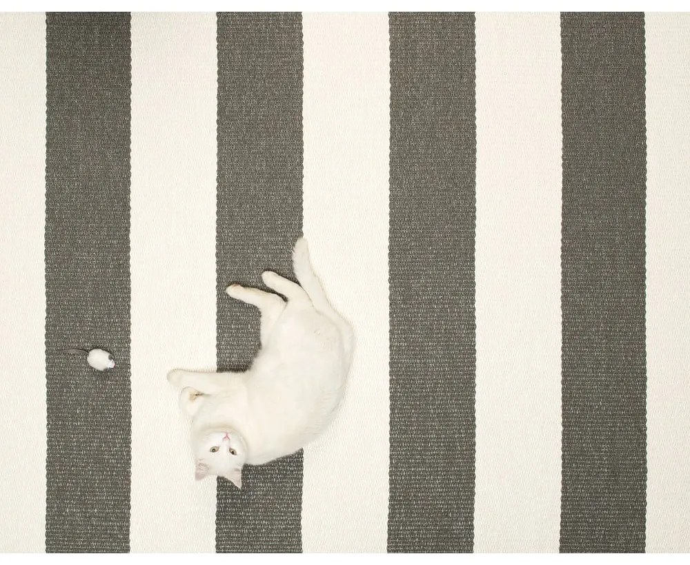 Covor tip traversă pentru interior și exterior gri antracit/crem 70x225 cm Bob Charcoal Linen – Pappelina