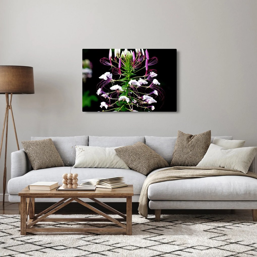 Tablou cu floare (90x60 cm)