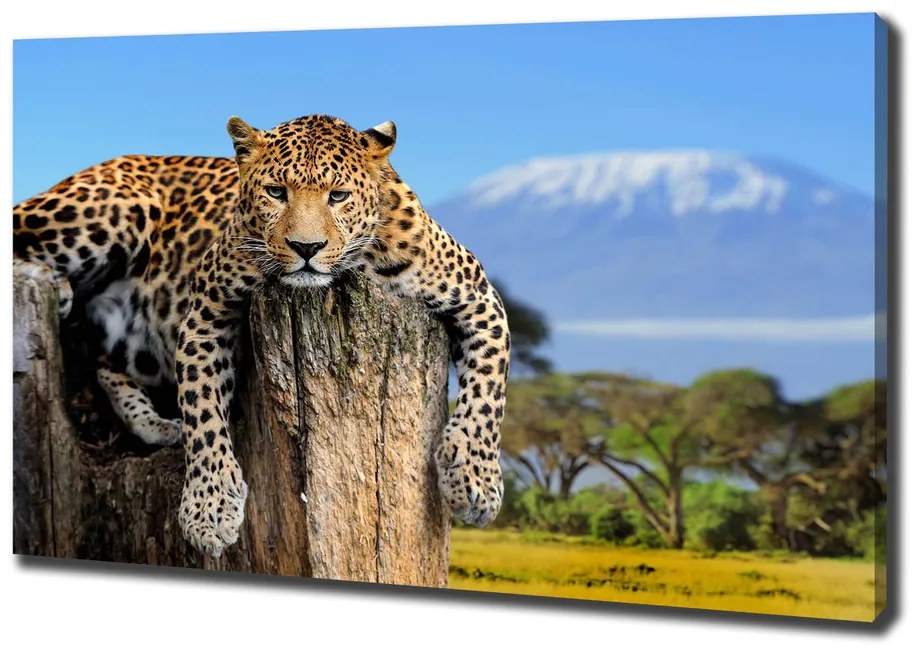 Print pe pânză Leopard pe un ciot de copac