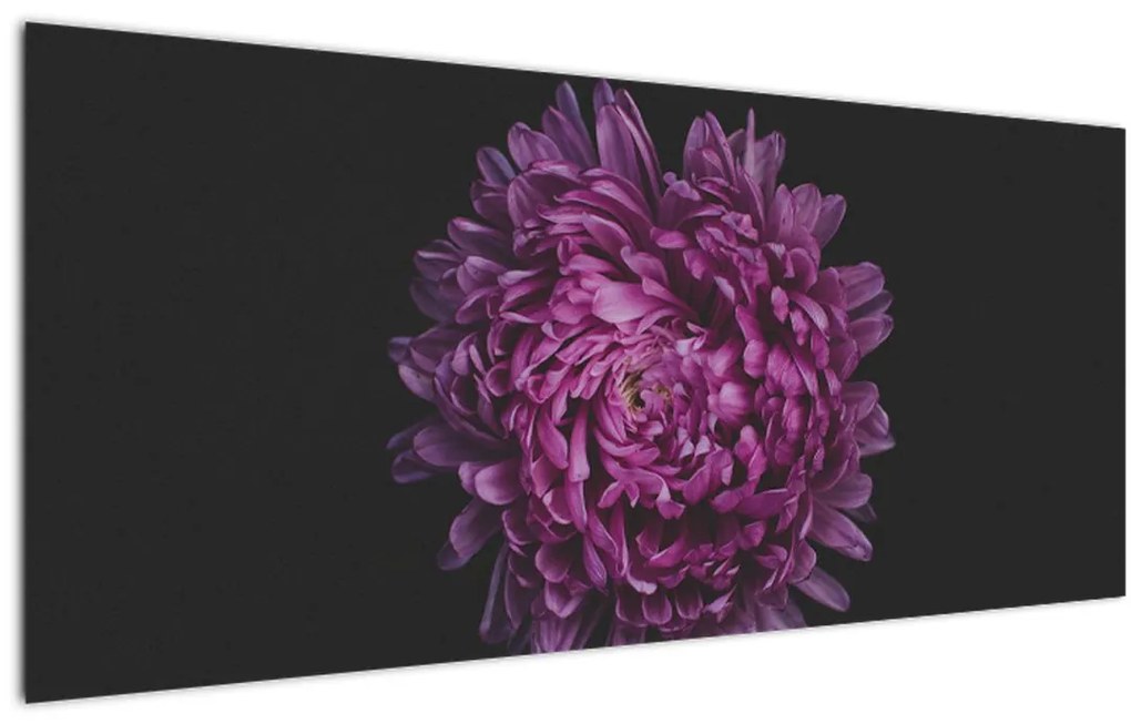 Tablou cu floare violetă (120x50 cm)