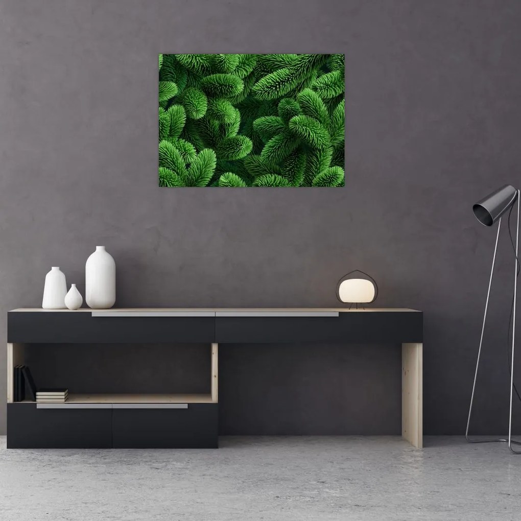 Tablou - Ramuri de conifere (70x50 cm)