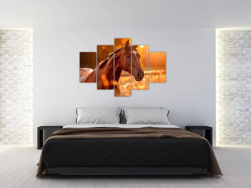 Tablou - Cal în apus de soare (150x105 cm)