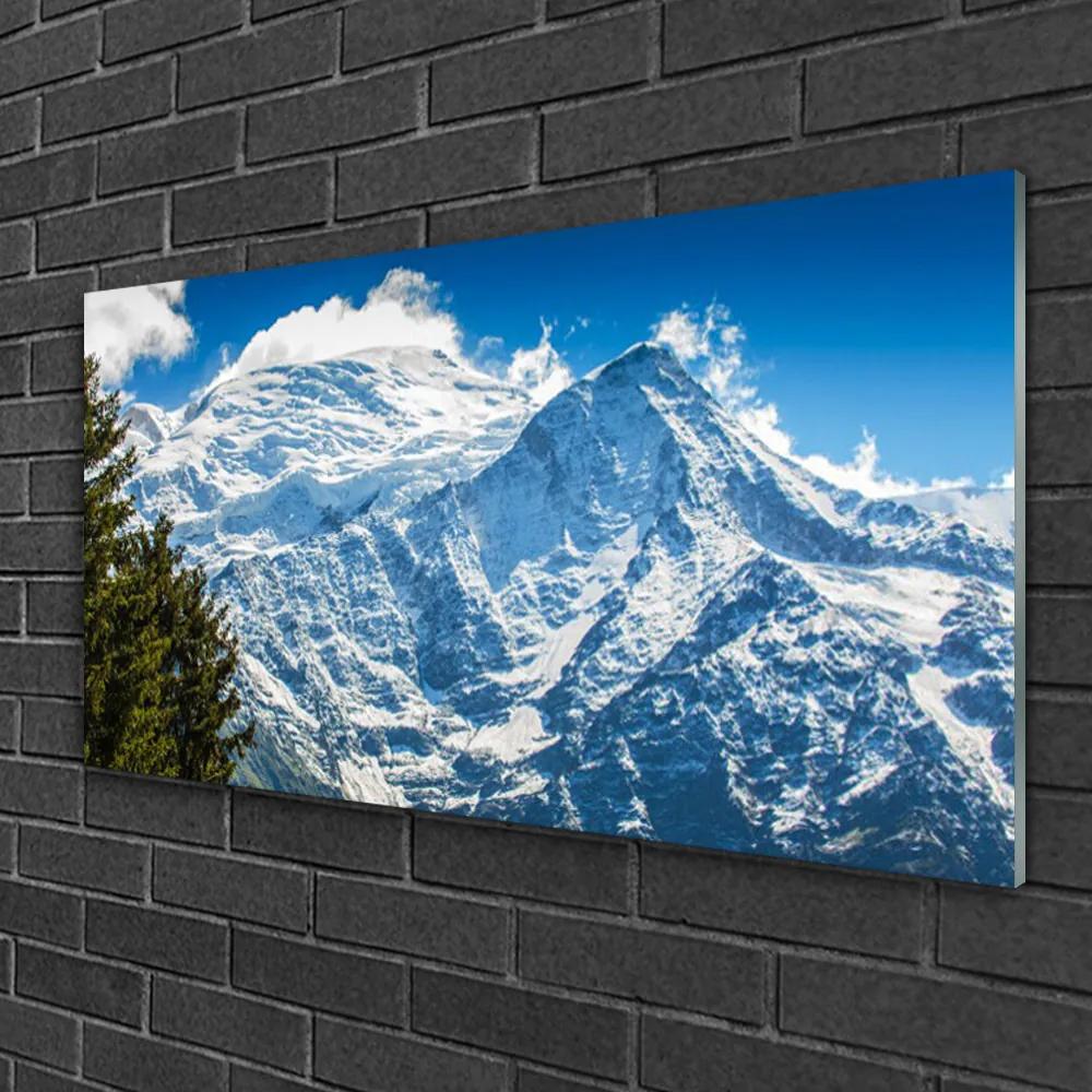 Tablou pe sticla Peisaj de munte copac Albastru Alb Verde