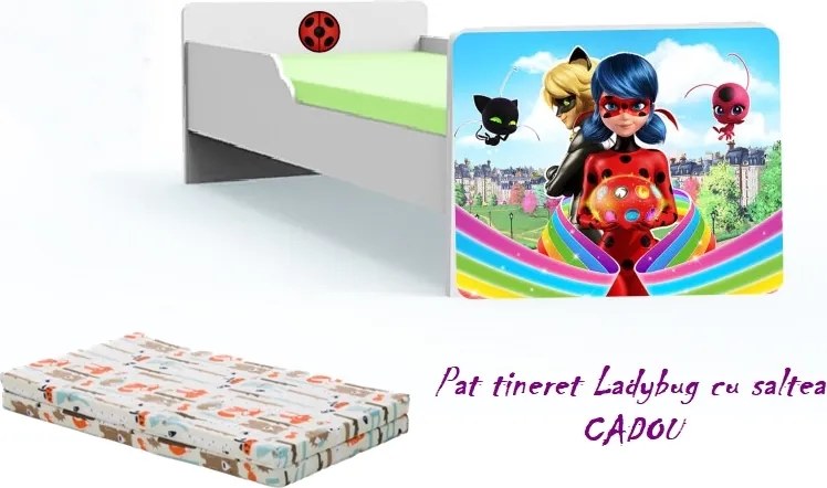 Pat tineret Ladybug cu saltea