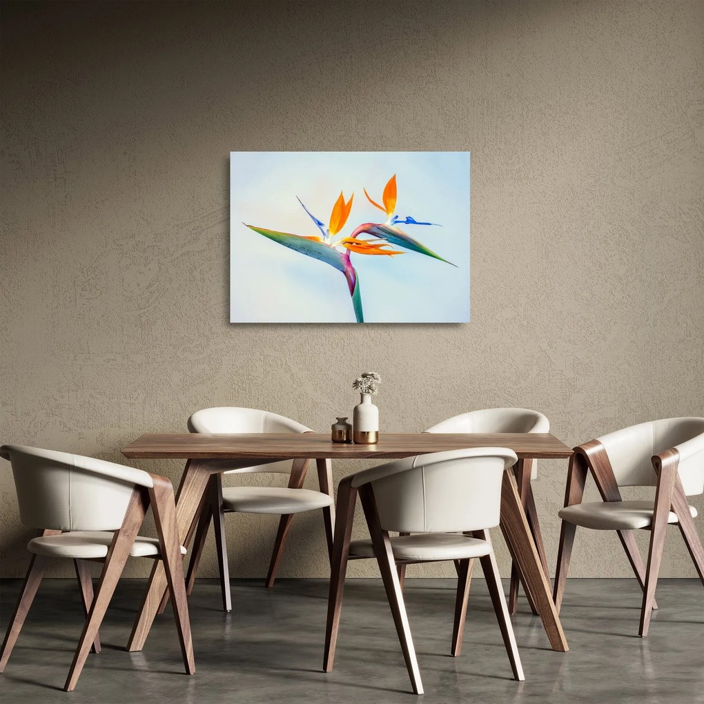 Tablou pe sticlă cu floarea Strelicie (70x50 cm)
