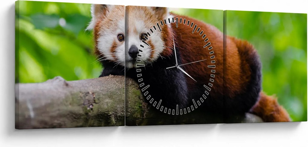 Tablou cu panda roșie (cu ceas) (90x30 cm)