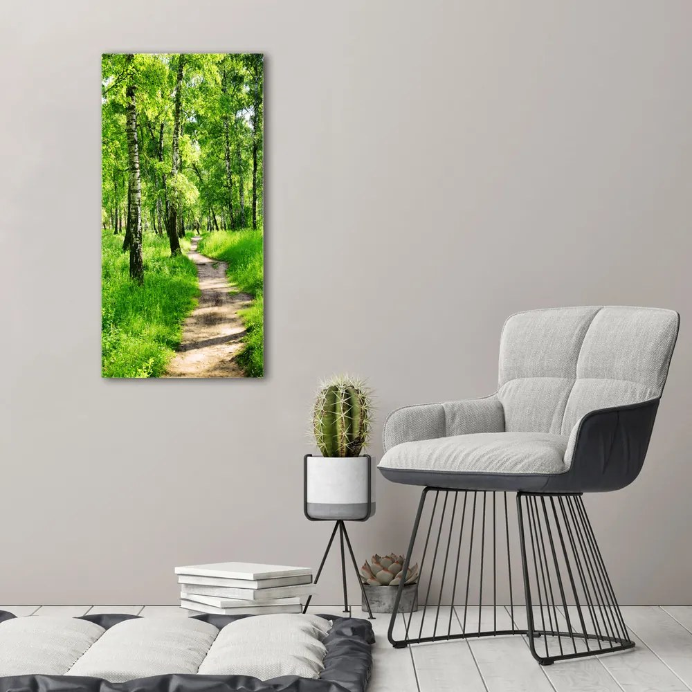 Imprimare tablou canvas Pădurea de mesteacăn