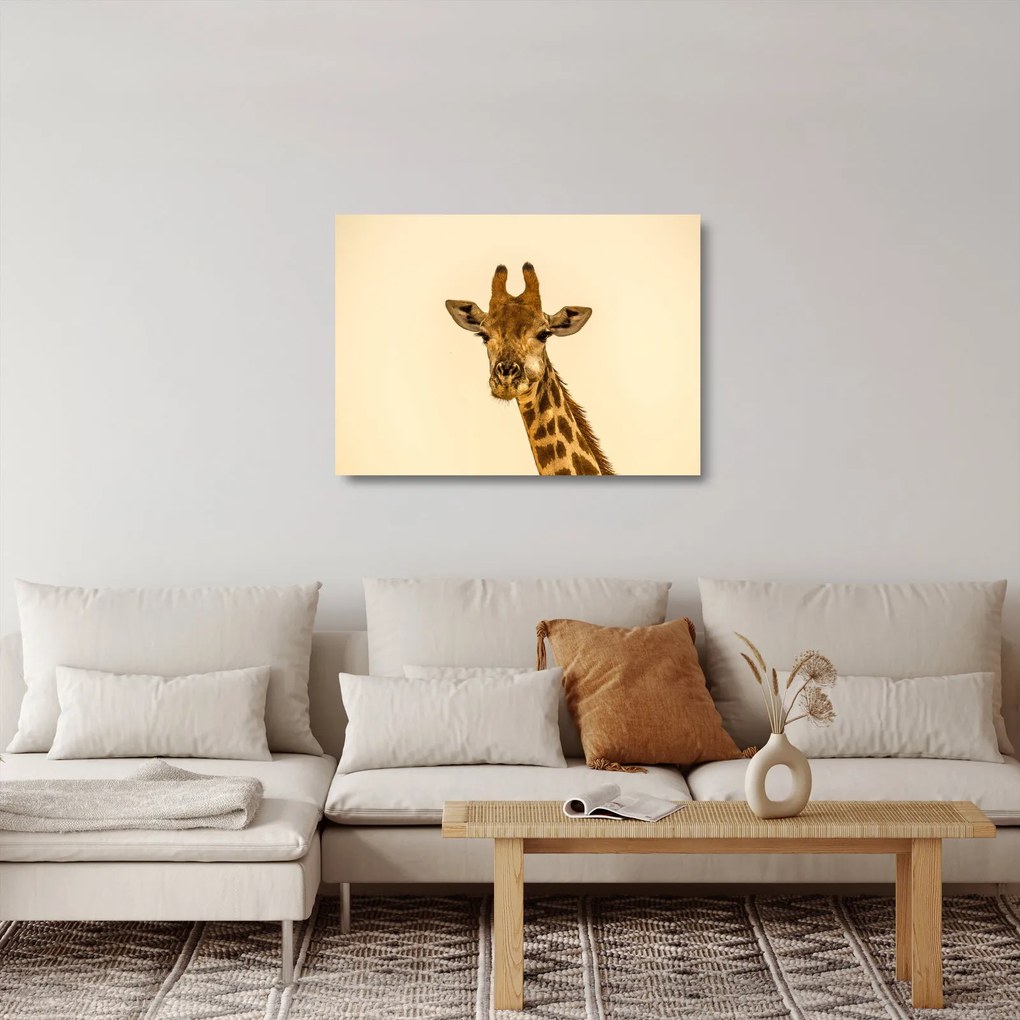 Tablou pe sticlă cu girafe (70x50 cm)