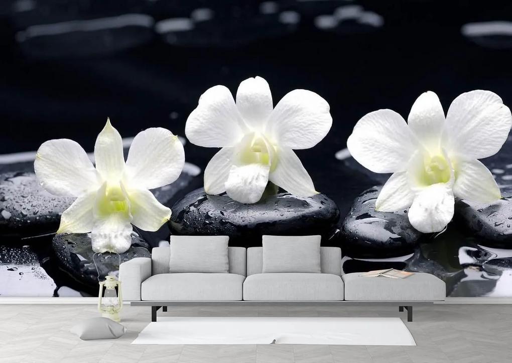 Fototapet. Pietre negre si Flori albe. Art.01249