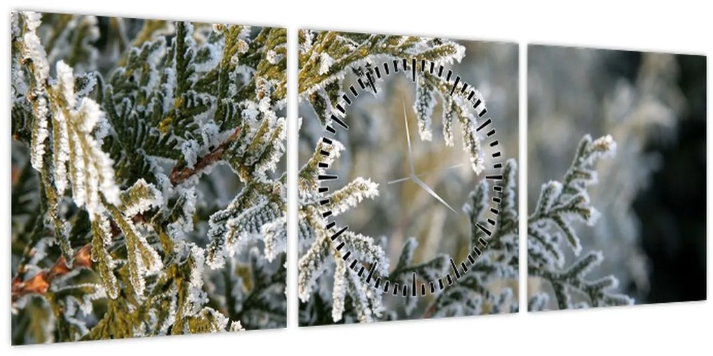 Tablou - Detaliu ramură (cu ceas) (90x30 cm)