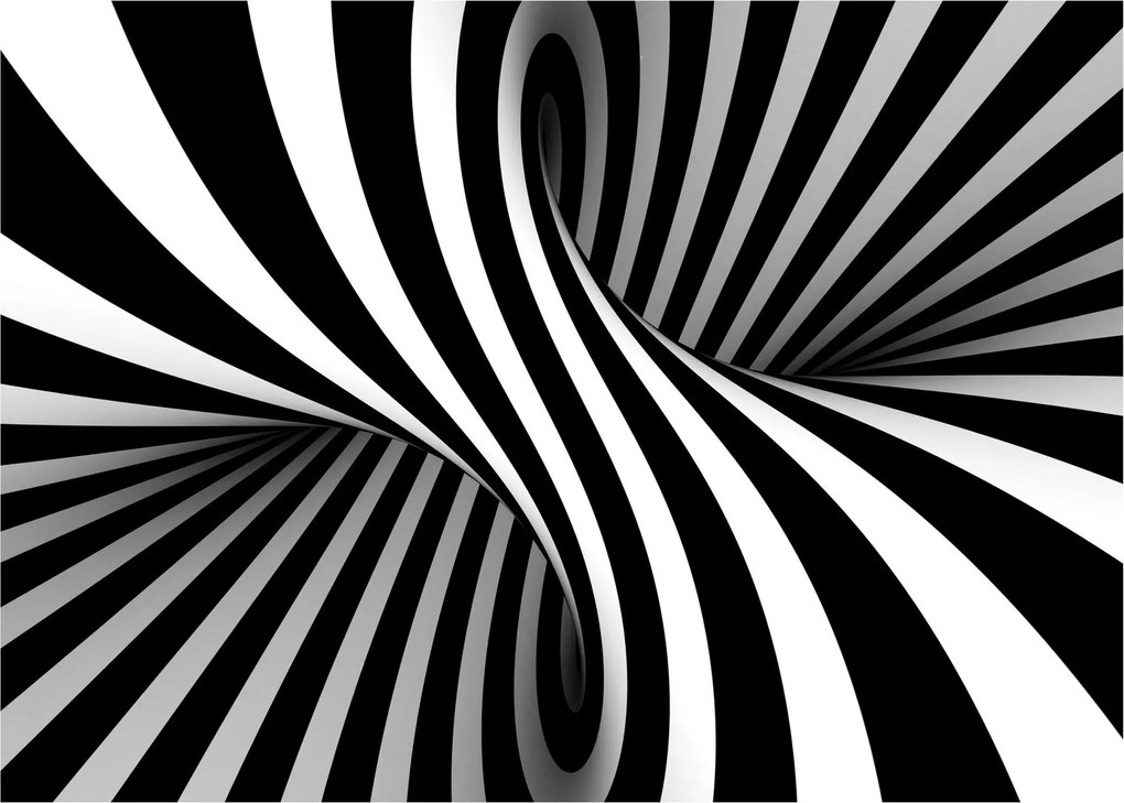Tablou abstract cu dungi de zebră (70x50 cm)