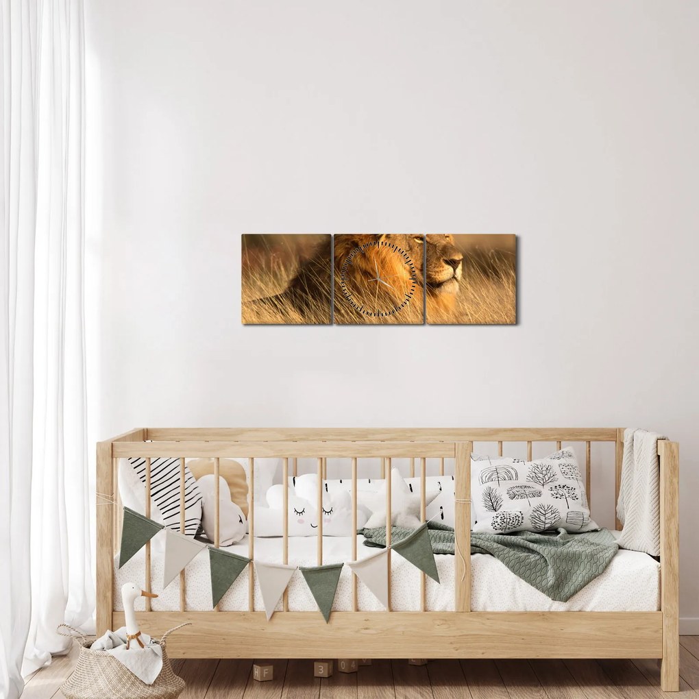Tablou - Parcul Național Etosha (cu ceas) (90x30 cm)