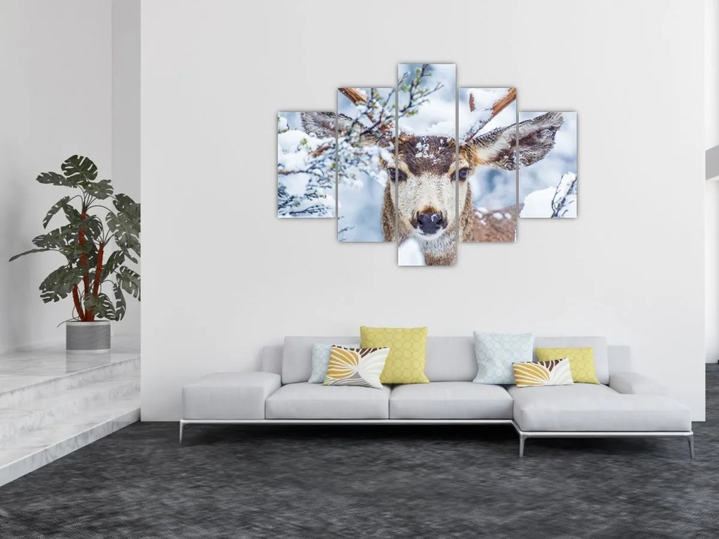 Tablou - Cerbul catâr (150x105 cm)