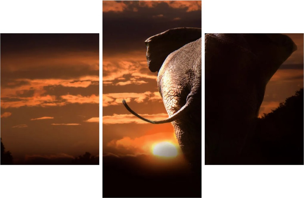 Tablou cu elefant (90x60 cm)