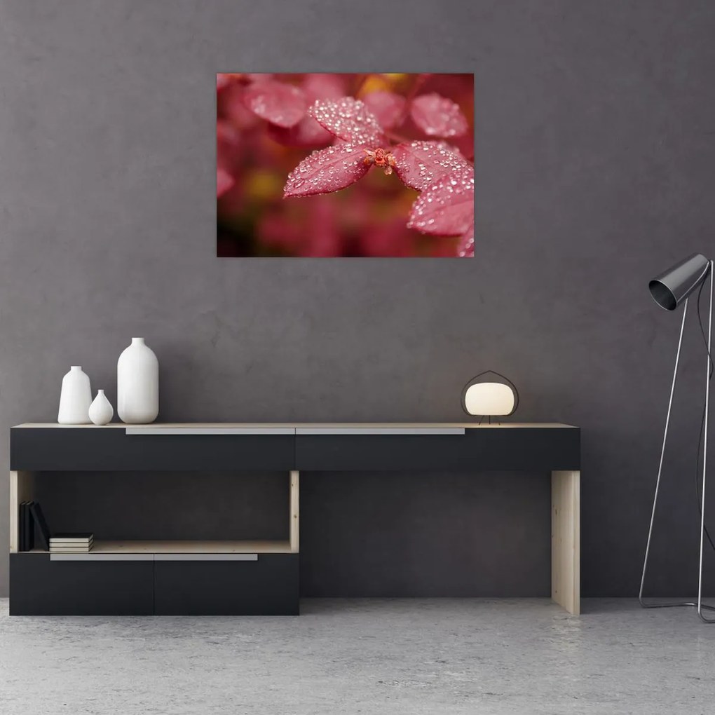 Tablou pe sticlă - Imagine macro a biletului (70x50 cm)
