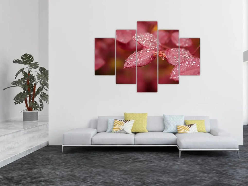 Tablou - Imagine macro a biletului (150x105 cm)
