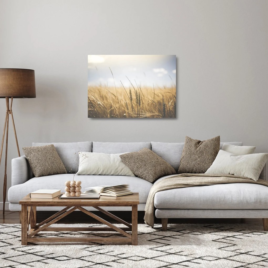 Tablou pe sticlă cu grâne (70x50 cm)