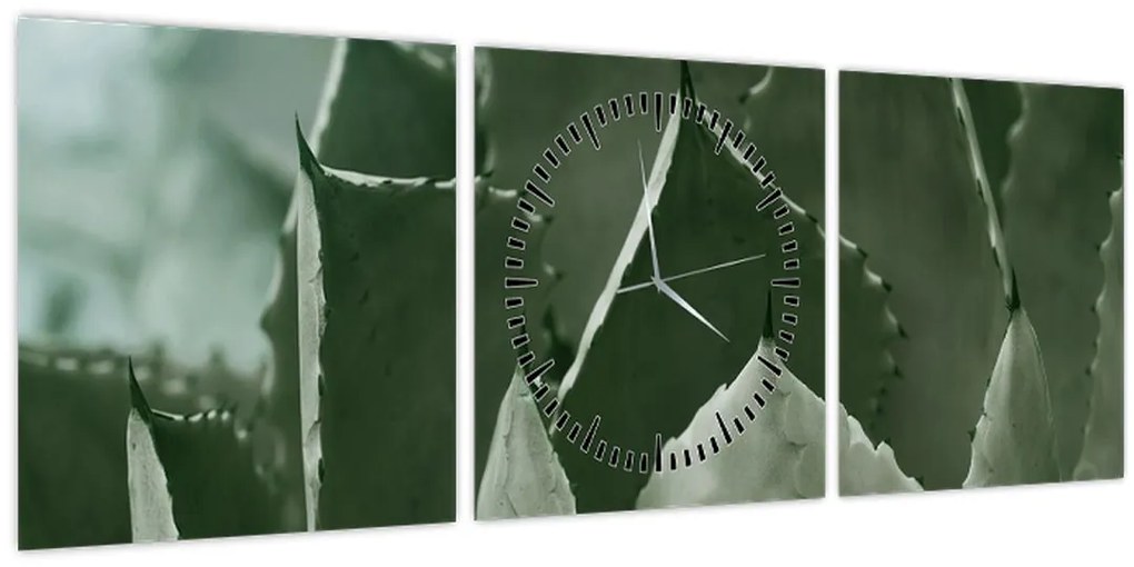 Tablou - Agave verde (cu ceas) (90x30 cm)