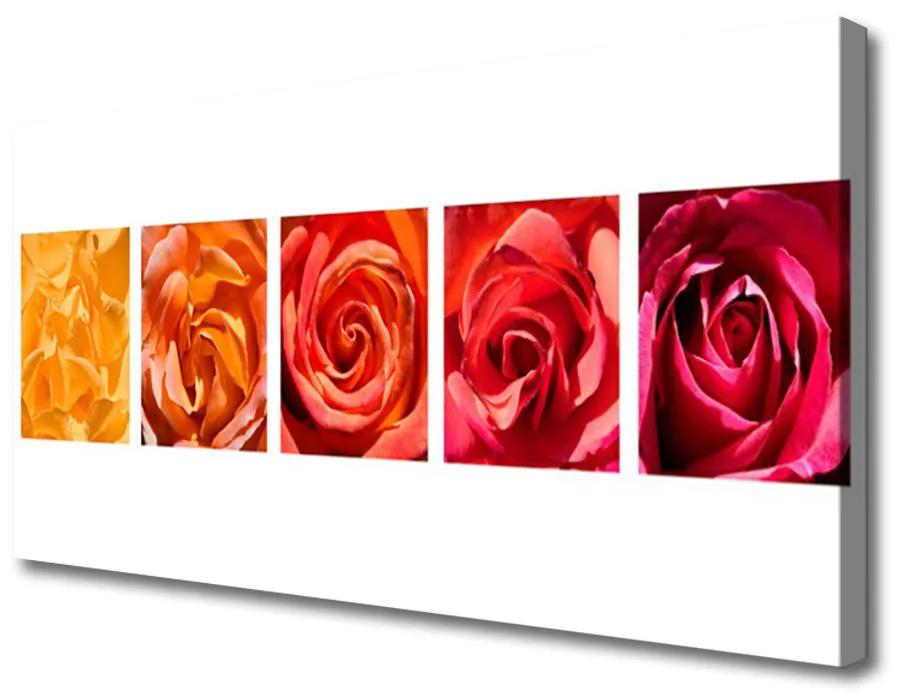 Tablou pe panza canvas Trandafiri Floral Galben Portocaliu Roșu