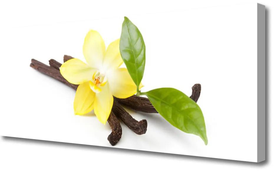 Tablou pe panza canvas Frunze de vanilie Floral Brun Galben Verde