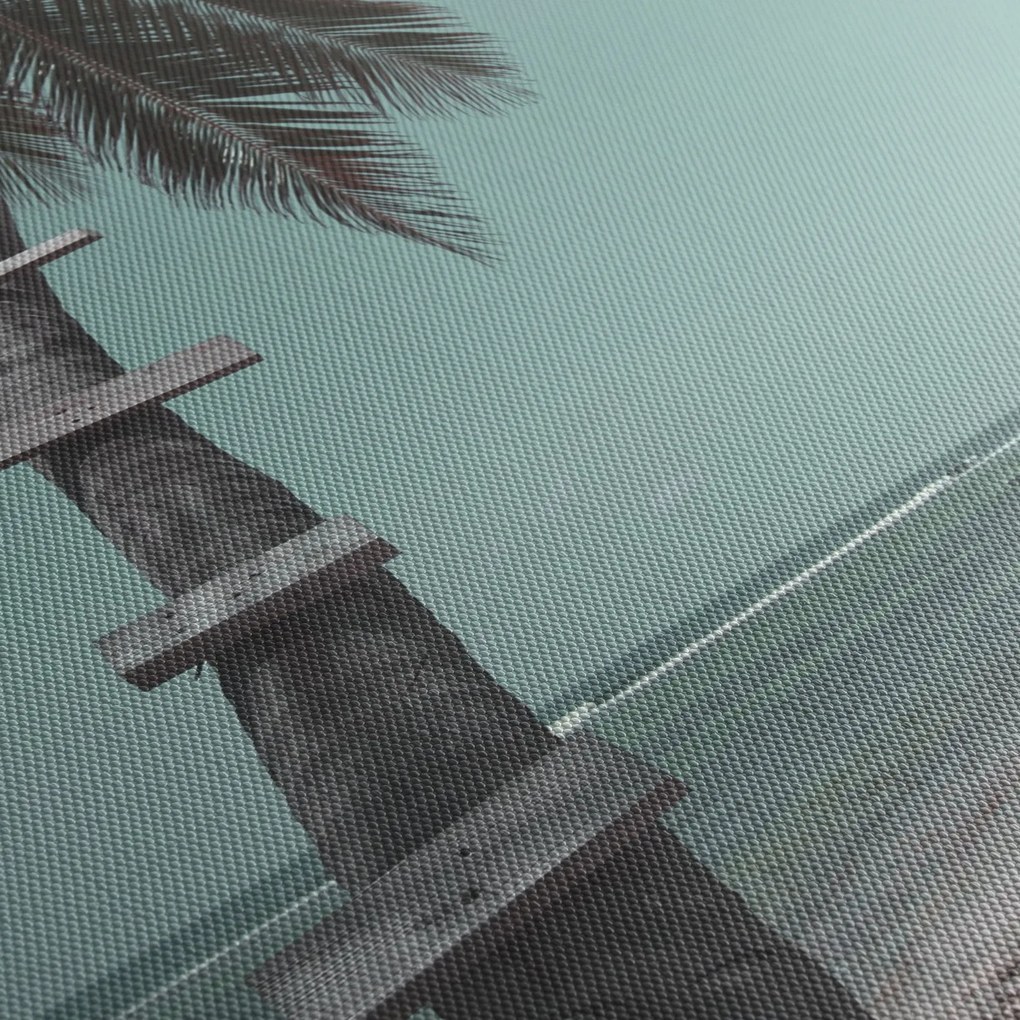 Tablou - Palma în Caraibe (70x50 cm)
