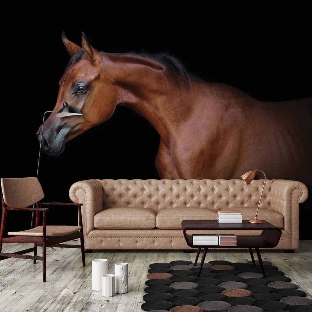 Fototapet - Calul maro pe fundal negru (152,5x104 cm)