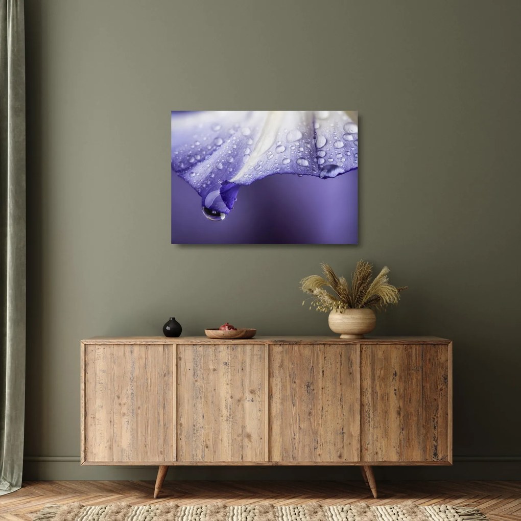 Tablou pe sticlă - Petală cu picături (70x50 cm)