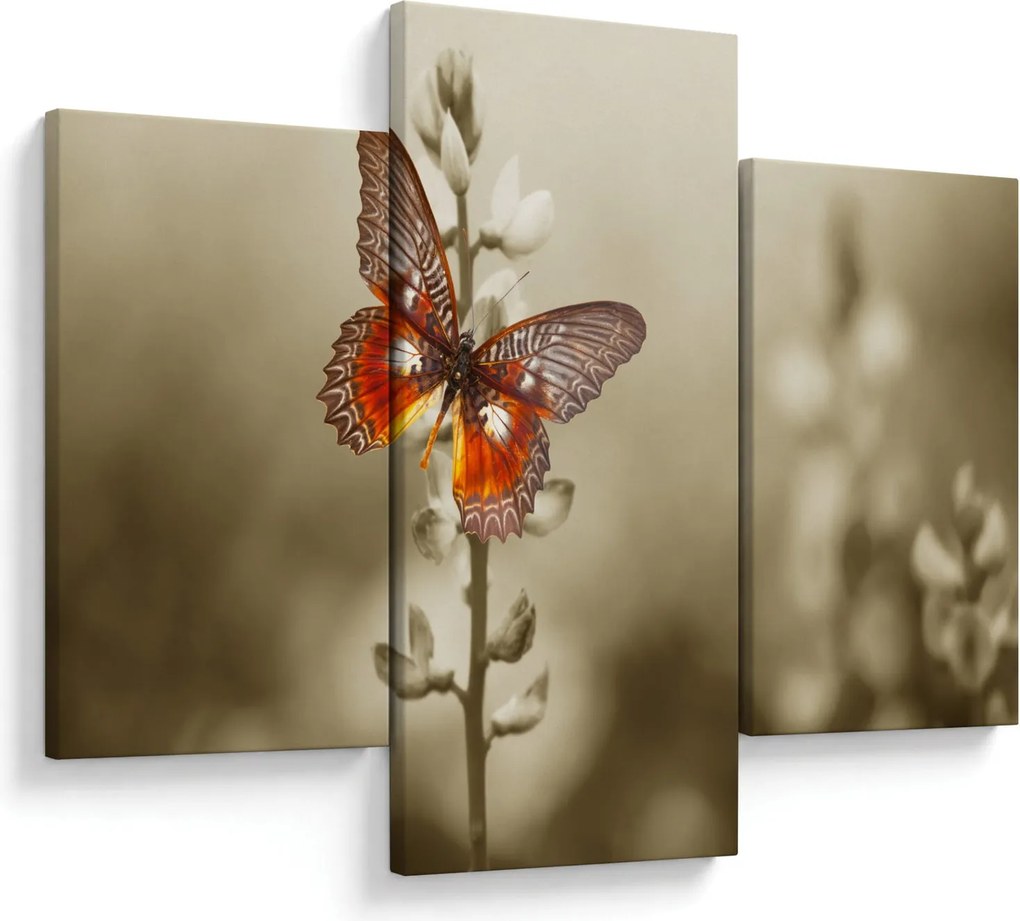 Tablou cu fluture (90x60 cm)