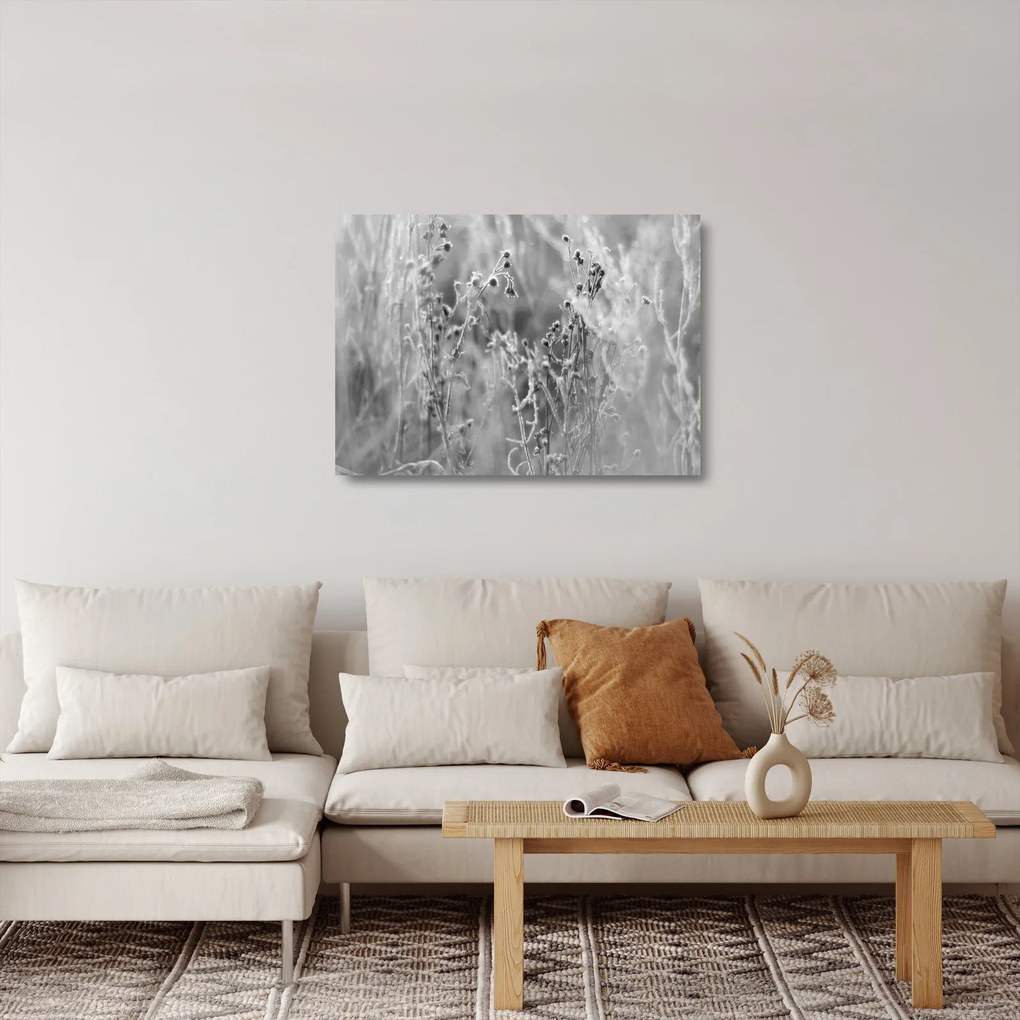 Tablou pe sticlă - Pajiște sălbatică (70x50 cm)