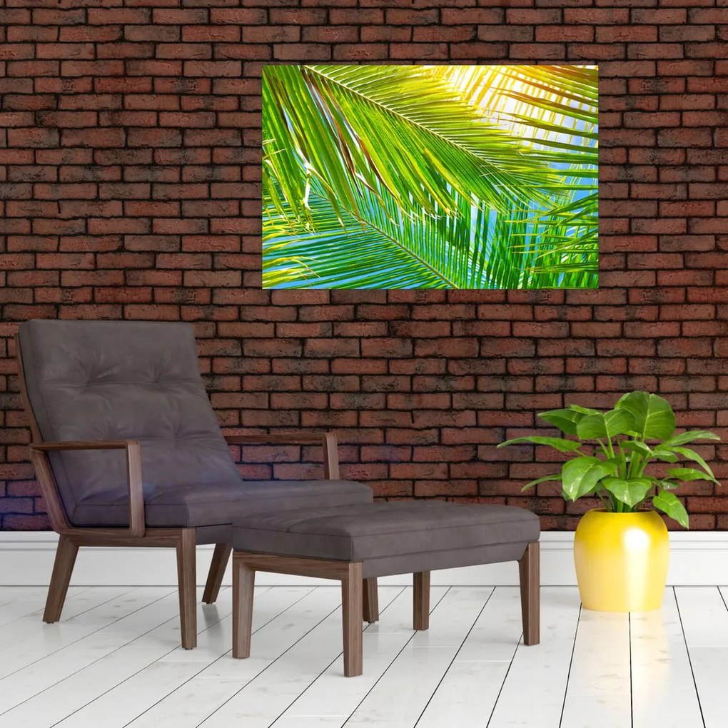 Tablou - Frunze de palmier (90x60 cm)