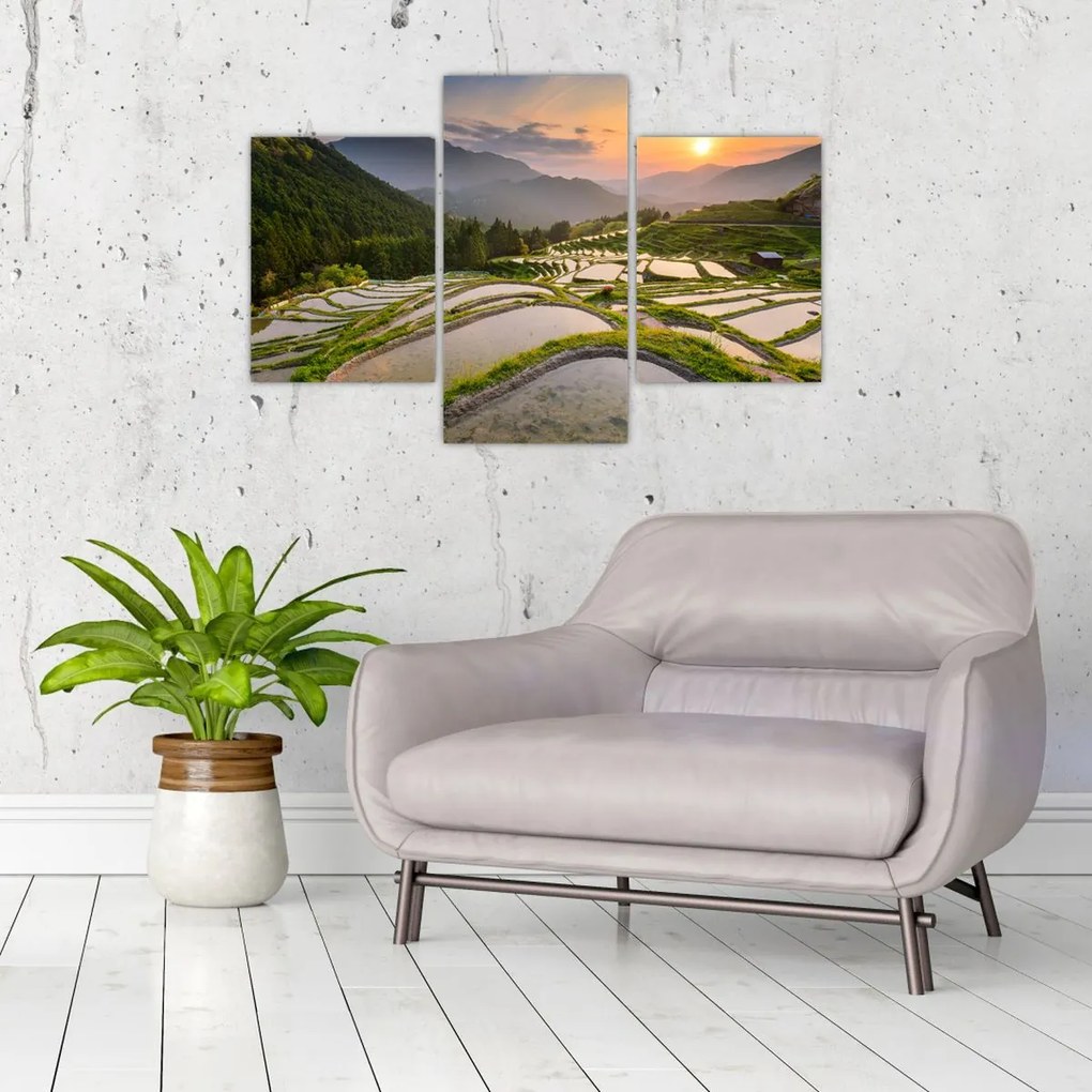 Tablou - Terase de orez (90x60 cm)