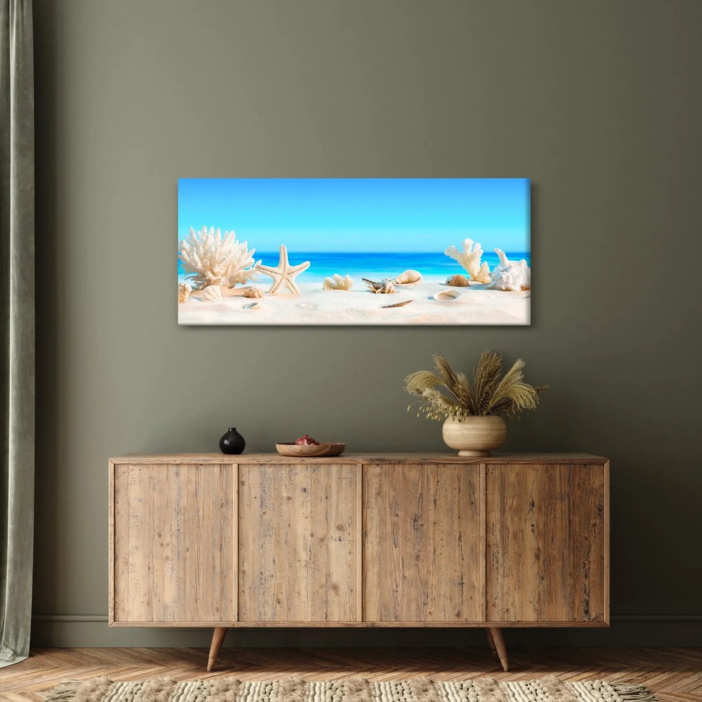 Tablou - Natura morta cu scoici (120x50 cm)