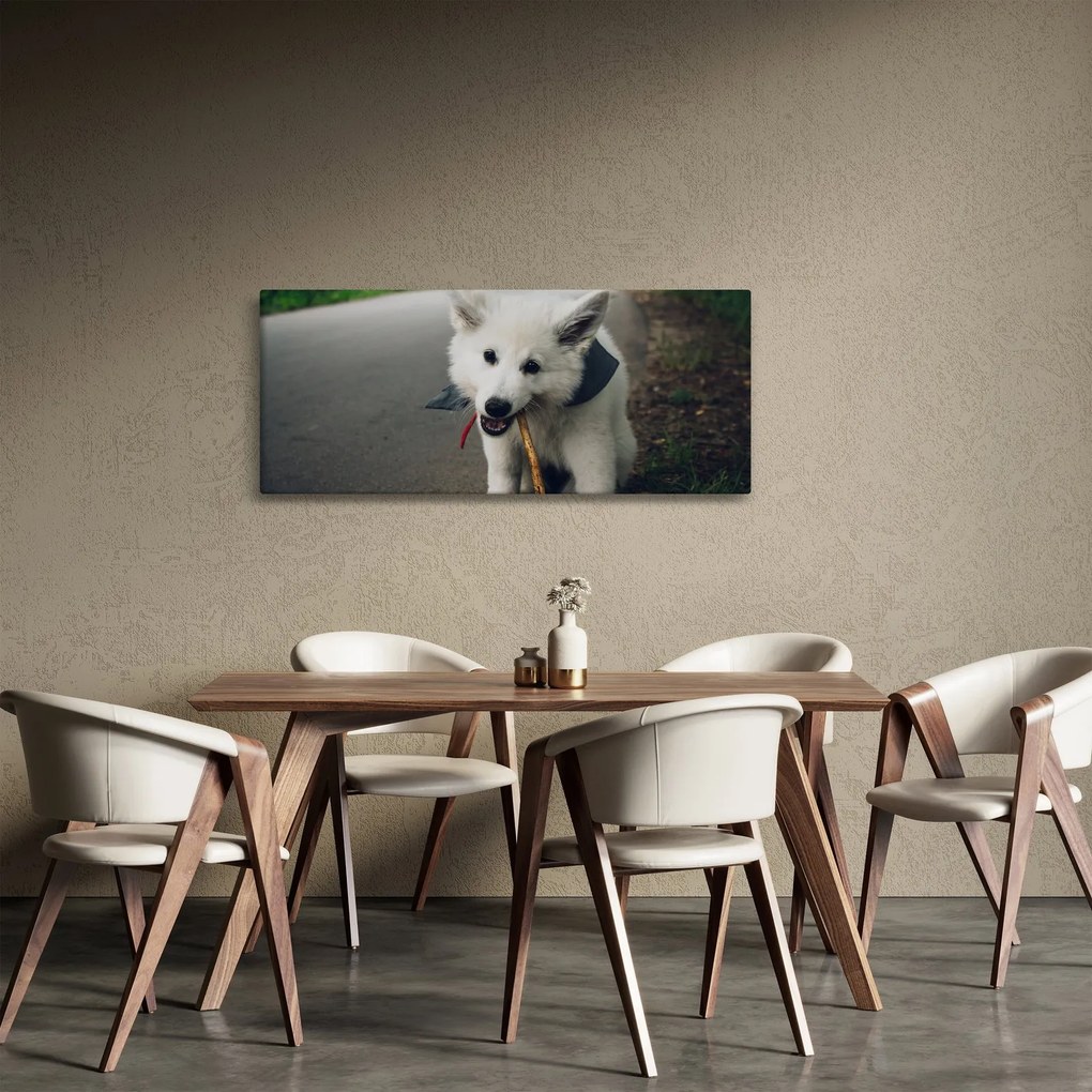 Tablou cu câinele alb (120x50 cm)