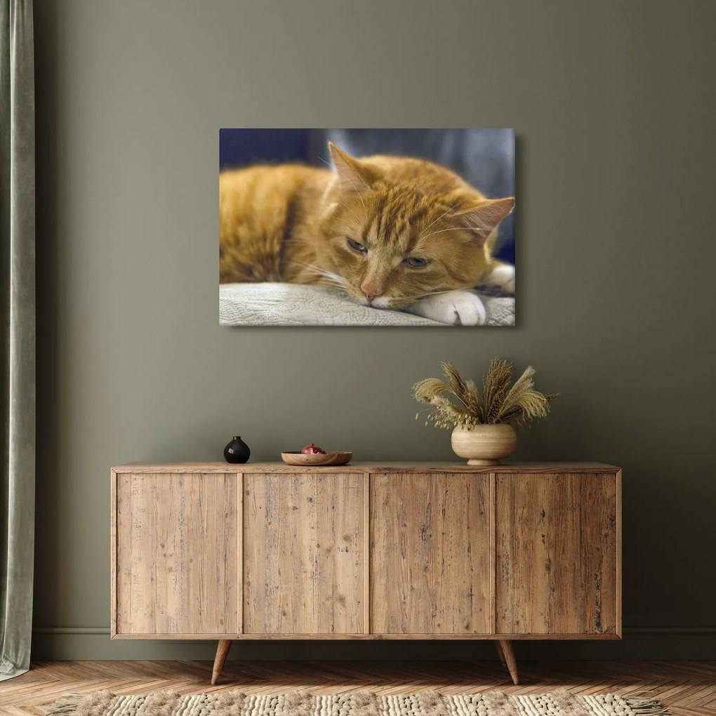 Tablou cu pisica (90x60 cm)