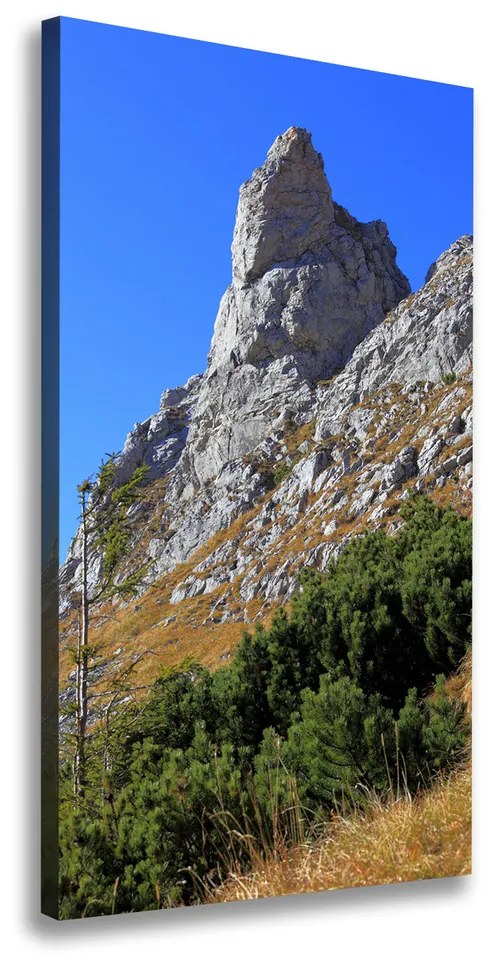 Tablou pe pânză canvas Mici Giewont Tatra