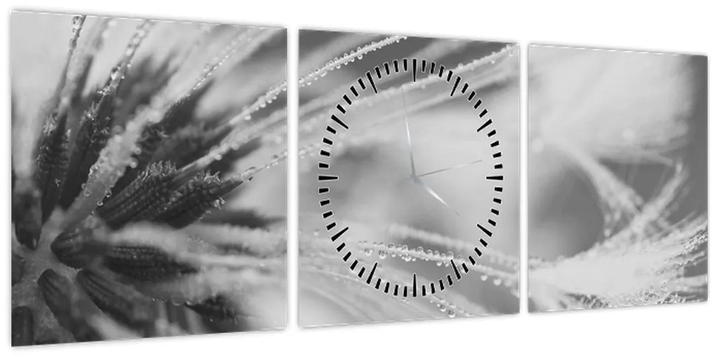 Tablou - Păpădie (cu ceas) (90x30 cm)