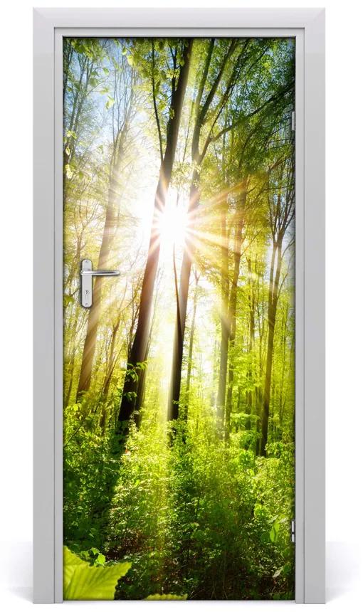 Autocolante pentru usi Soare în pădure