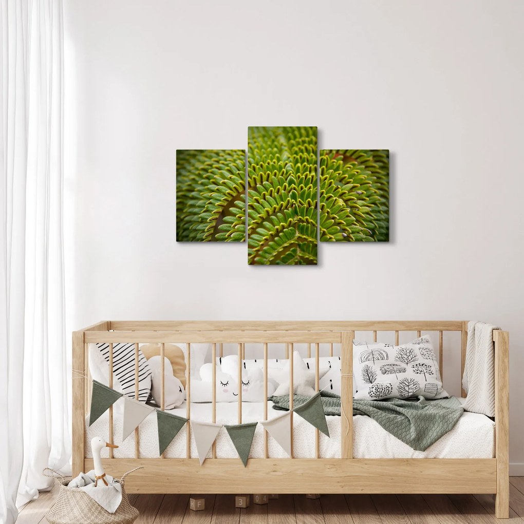 Tablou - Fern (90x60 cm)