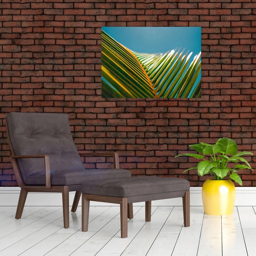 Tablou pe sticlă - Frunze de palmier (70x50 cm)