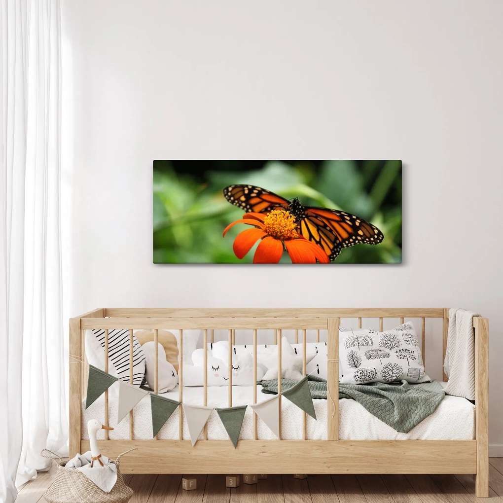 Tablou cu fluture pe floare (120x50 cm)