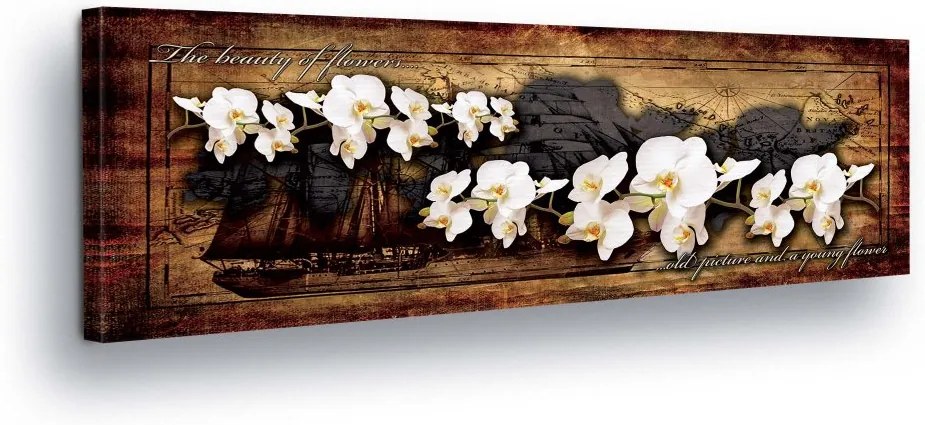 GLIX Tablou - White Flower Decoration in Brown Background II 45x145 cm