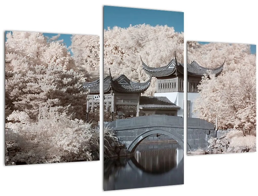 Tablou - pomi înfloriți în Asia (90x60 cm)