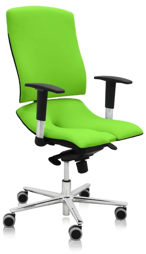 Scaun medical Steel Standard+, verde