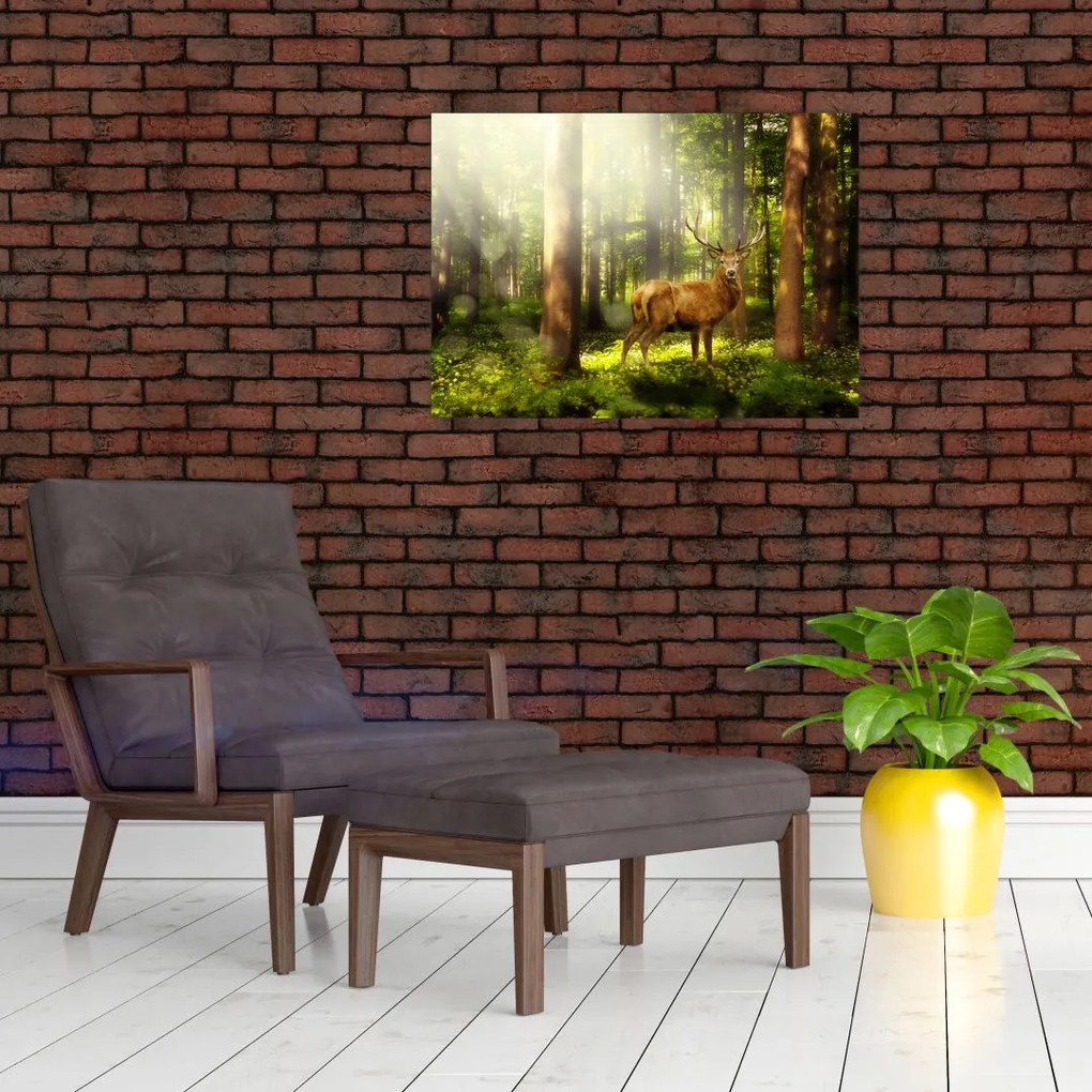 Tablou pe sticlă cu cerbul în pădure (70x50 cm)