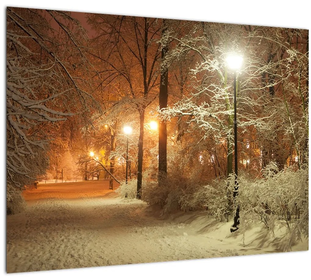 Tablou pe sticlă - Parcul înzăpezit (70x50 cm)