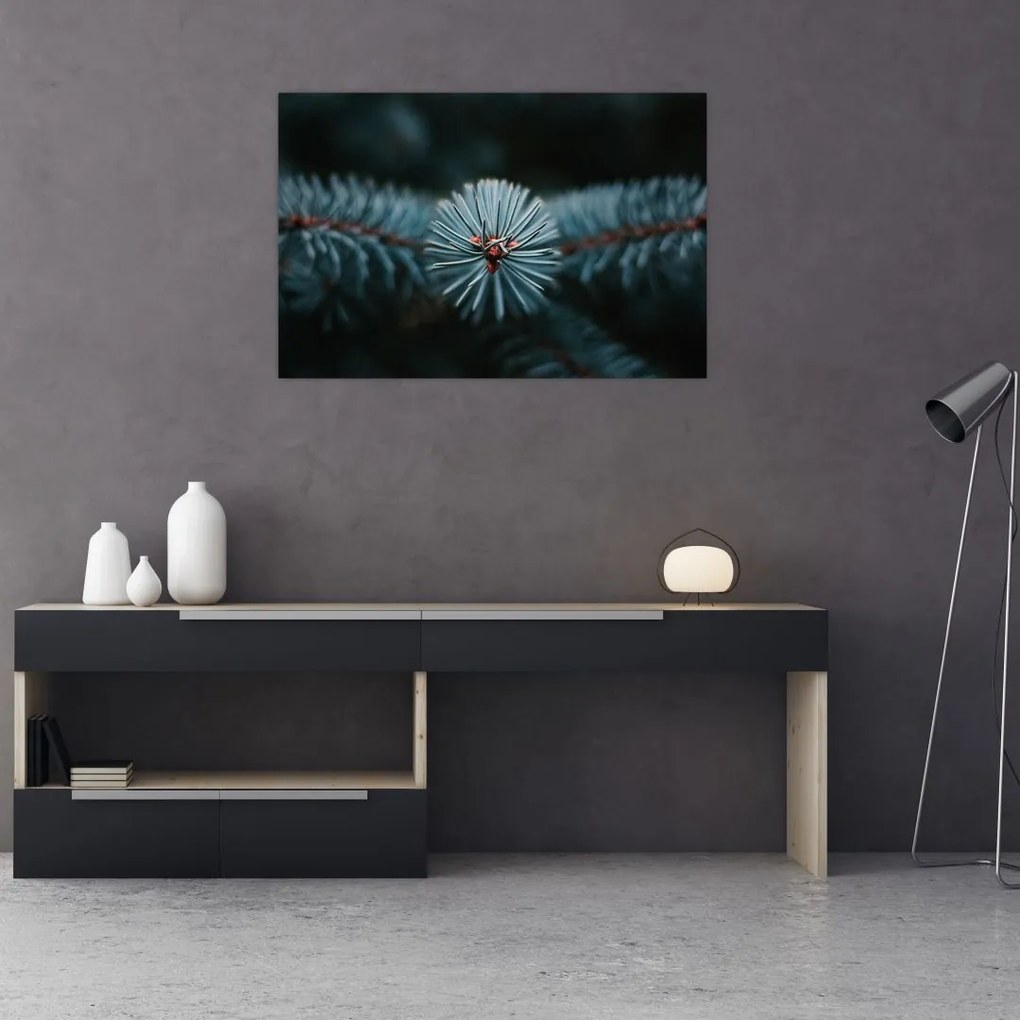 Tablou -Crenguțe ale unui conifer (90x60 cm)