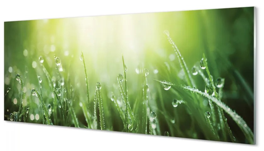Tablouri acrilice picături de soare iarbă